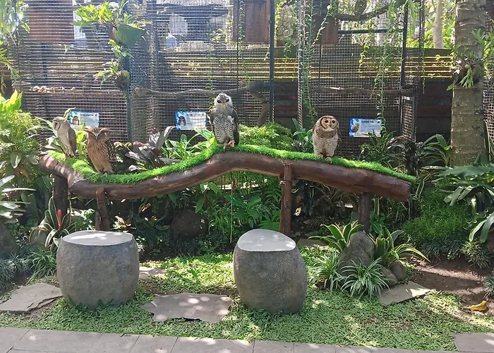 Liyer Spirit House Affittacamere 3*