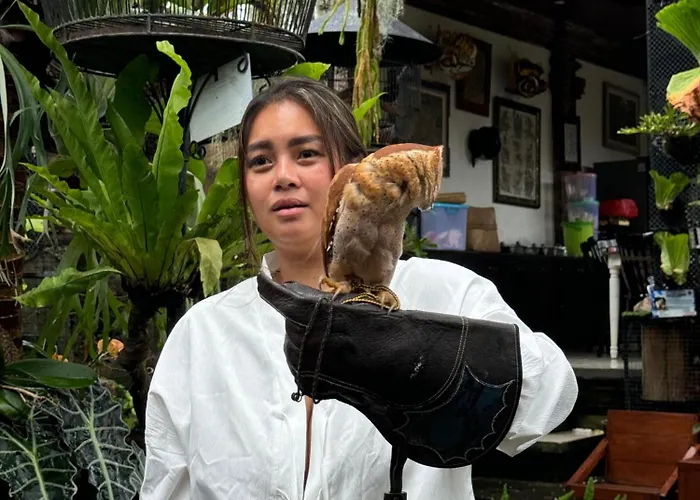 Affittacamere Liyer Spirit House Ubud